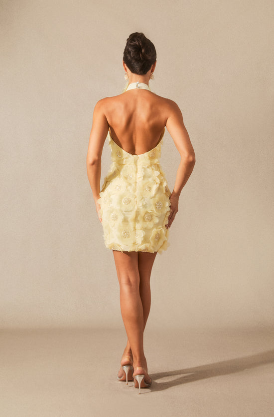 Celeste Halter Neck Floral Embellished Mini Dress